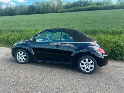 VW Beetle