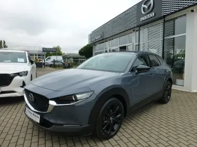 Gebraucht Mazda CX-30 Homura-Line 186 PS (136 kW) 2023 Grau SUV