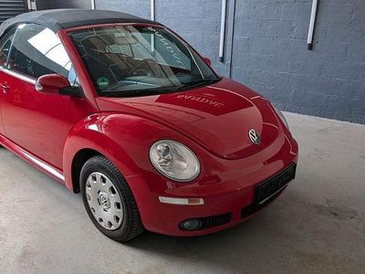 VW Beetle