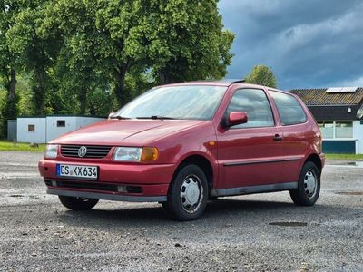 VW Polo