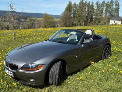 Usata BMW Z4