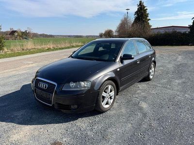 Usata Audi A3 Ambition 150 CV (110 kW) 2005 Grigio Utilitaria