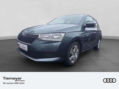 Grau Gebraucht 2019 Skoda Fabia Ambition Kleinwagen | 12.260 € (Fairer Preis)
