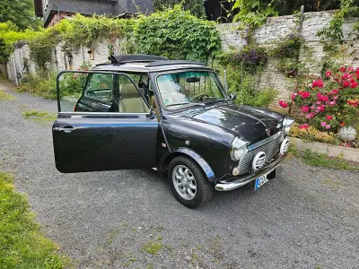 Gebraucht Rover Mini 1996 Grau Kleinwagen