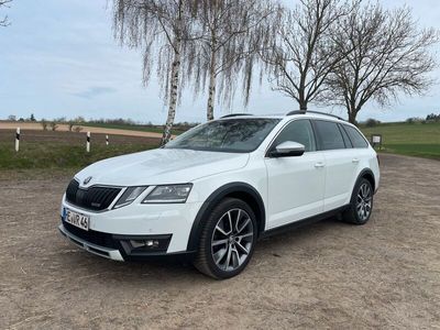 gebraucht Skoda Octavia Scout 4X4 DSG 183PS Vollausstattung