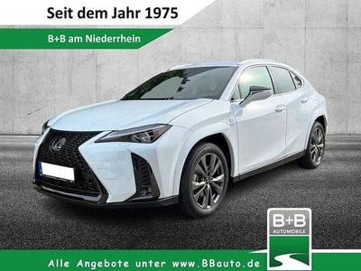 Gebraucht Lexus UX Sport Line 184 PS (135 kW) 2023 Weiß SUV