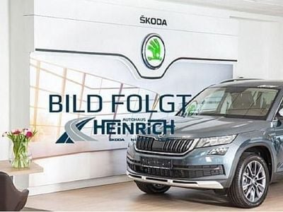 Second-hand Skoda Karoq Tour 150 CP (110 kW) 2023 Gri SUV