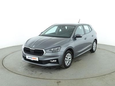 Gebraucht Skoda Fabia Selection 95 PS (69 kW) 2023 Grau Kleinwagen