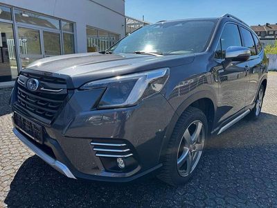 Usata Subaru Forester Platinum 150 CV (110 kW) 2023 Grigio SUV