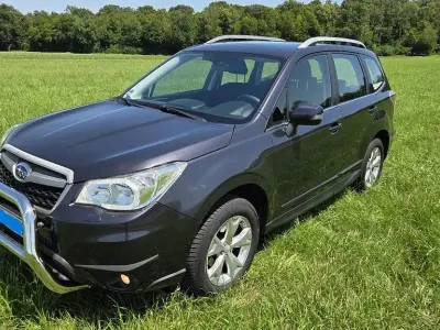 Gebraucht Subaru Forester Exclusive+ 150 PS (110 kW) 2014 Grau SUV