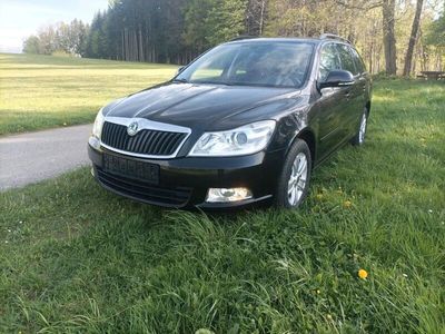 gebraucht Skoda Octavia 