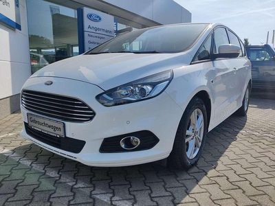 Gebraucht Ford S-MAX Business Edition 165 PS (121 kW) 2019 Frozen white Van / Kleinbus