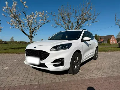 Usata Ford Kuga ST-Line 190 CV (139 kW) 2020 Bianco SUV