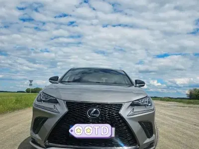 Gebraucht Lexus NX300h E-FOUR F-Sport 197 PS (144 kW) 2018 Grau SUV
