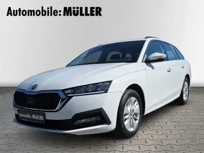 Gebraucht Skoda Octavia Ambition 150 PS (110 kW) 2023 Weiss Kombi