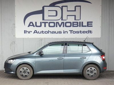 Gebraucht Skoda Fabia Active 75 PS (55 kW) 2019 Grau Kleinwagen