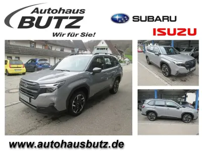Nouvelle Subaru Forester Trend 136 ch (100 kW) 2026 Gris SUV