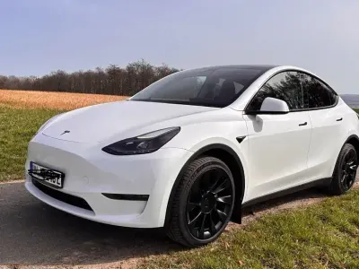 Brugt Tesla Model Y Performance 378 kW (514 HK) 2022 Hvid SUV