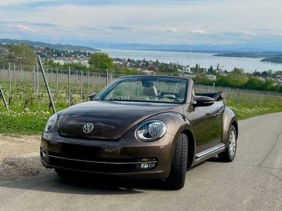 Brugt VW Beetle Cup 105 HK (77 kW) 2014 Brun Hatchback