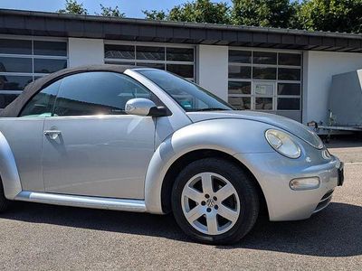 VW Beetle
