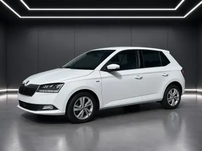 Gebraucht Skoda Fabia Soleil 110 PS (80 kW) 2019 Weiß Kleinwagen