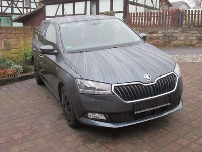 gebraucht Skoda Fabia Drive 125+ACC+SHZ+PDC+Apple CarPlay