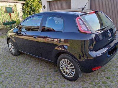 gebraucht Fiat Punto Pop 1.2 8V Bj.2014, TÜV Neu, Service Neu