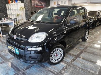Gebraucht Fiat Panda Easy 69 PS (50 kW) 2020 Schwarz Kleinwagen