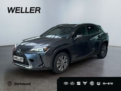Lexus UX 300e