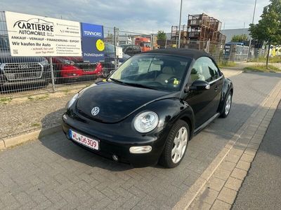VW Beetle