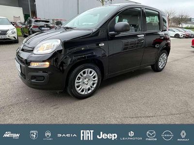 Neu Fiat Panda Icon 65 PS (47 kW) 2026 Rot Kleinwagen
