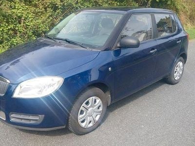 Usata Skoda Fabia 60 CV (44 kW) 2009 Blu Berlina