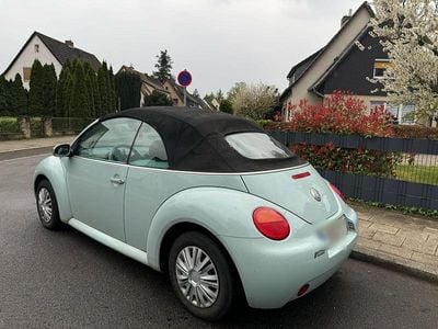 VW Beetle