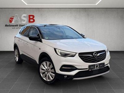 Gebraucht Opel Grandland X Ultimate 181 PS (133 kW) 2020 Weiß SUV