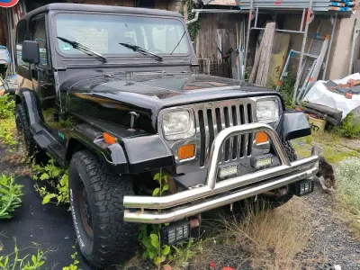 Gebraucht Jeep Wrangler 184 PS (135 kW) 1995 Schwarz SUV