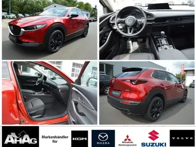 Neu Mazda CX-30 Homura-Line 140 PS (102 kW) 2026 Rot SUV