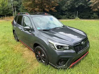 Gebraucht Subaru Forester