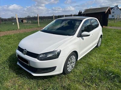 Gebraucht VW Polo Team 90 PS (66 kW) 2010 Weiß Kleinwagen
