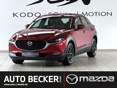 Gebraucht Mazda CX-30 Selection 116 PS (85 kW) 2020 Soul red crystal (metallic) SUV