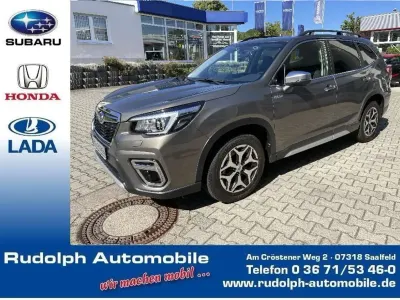 Gebraucht Subaru Forester Comfort 150 PS (110 kW) 2020 Sepia bronze SUV