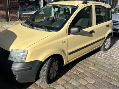 Occasion Fiat Panda 65 ch (47 kW) 2009 Jaune Citadine