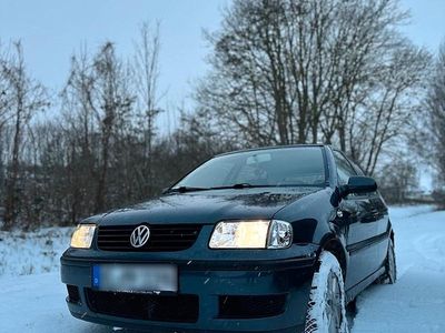 Grau Gebraucht 2001 VW Polo Kleinwagen | 1.100 € (Fairer Preis)