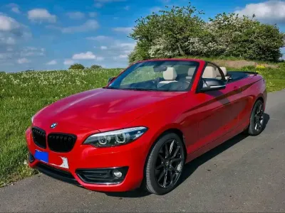 Gebraucht BMW 220 Sport Line 184 PS (135 kW) 2018 Rot Cabrio