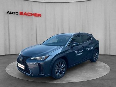 Gebraucht Lexus UX 300h Sport Line 152 PS (111 kW) 2025 Grau SUV
