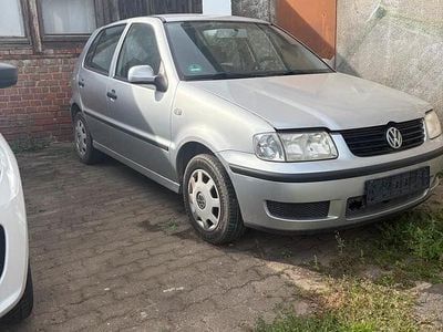 VW Polo