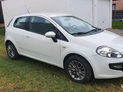 gebraucht Fiat Punto 1.2