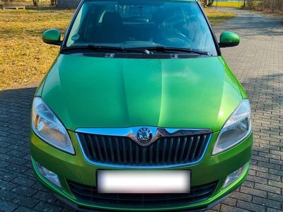 Gebraucht Skoda Fabia 69 PS (50 kW) 2012 Grün Kleinwagen