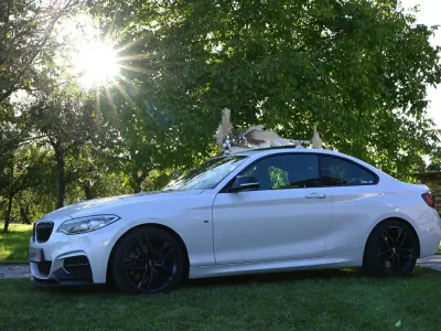 Gebraucht BMW M235 326 PS (239 kW) 2015 Weiß Coupé