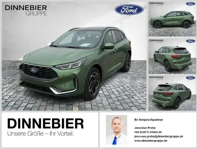 Neu Ford Kuga ST-Line X 179 PS (131 kW) 2026 Grün (metallic) SUV