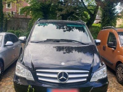 Mercedes Viano